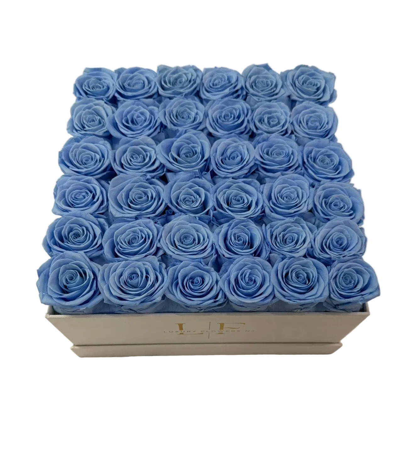 Blue sky preserved box