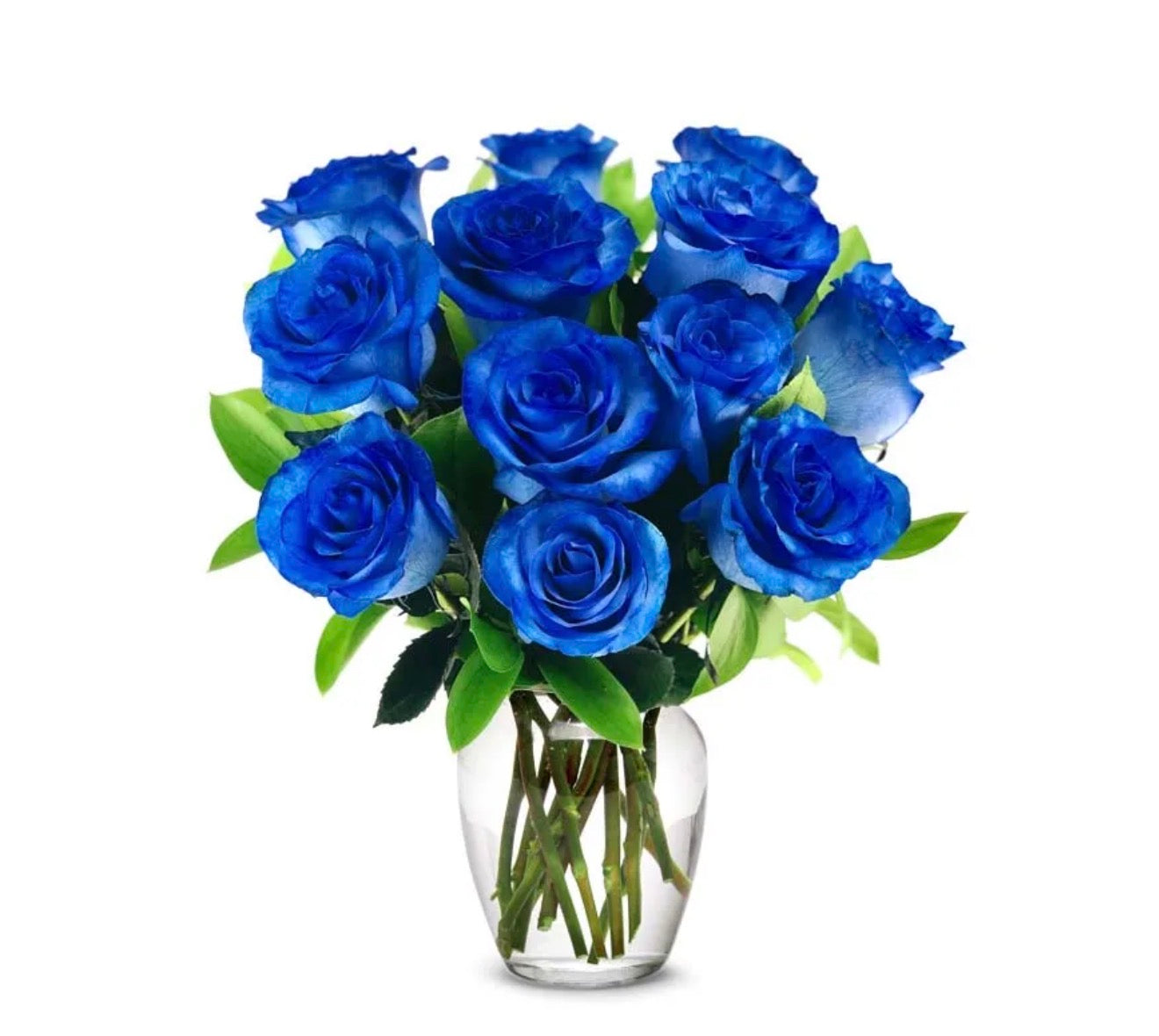 12 blue roses in a vase