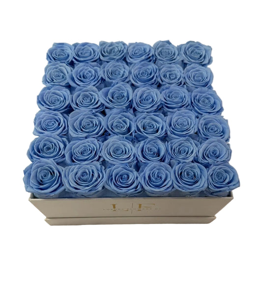 Blue sky preserved box