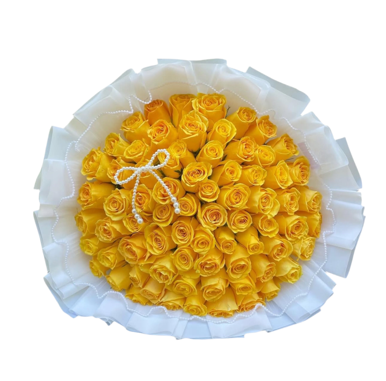 Yellow Roses