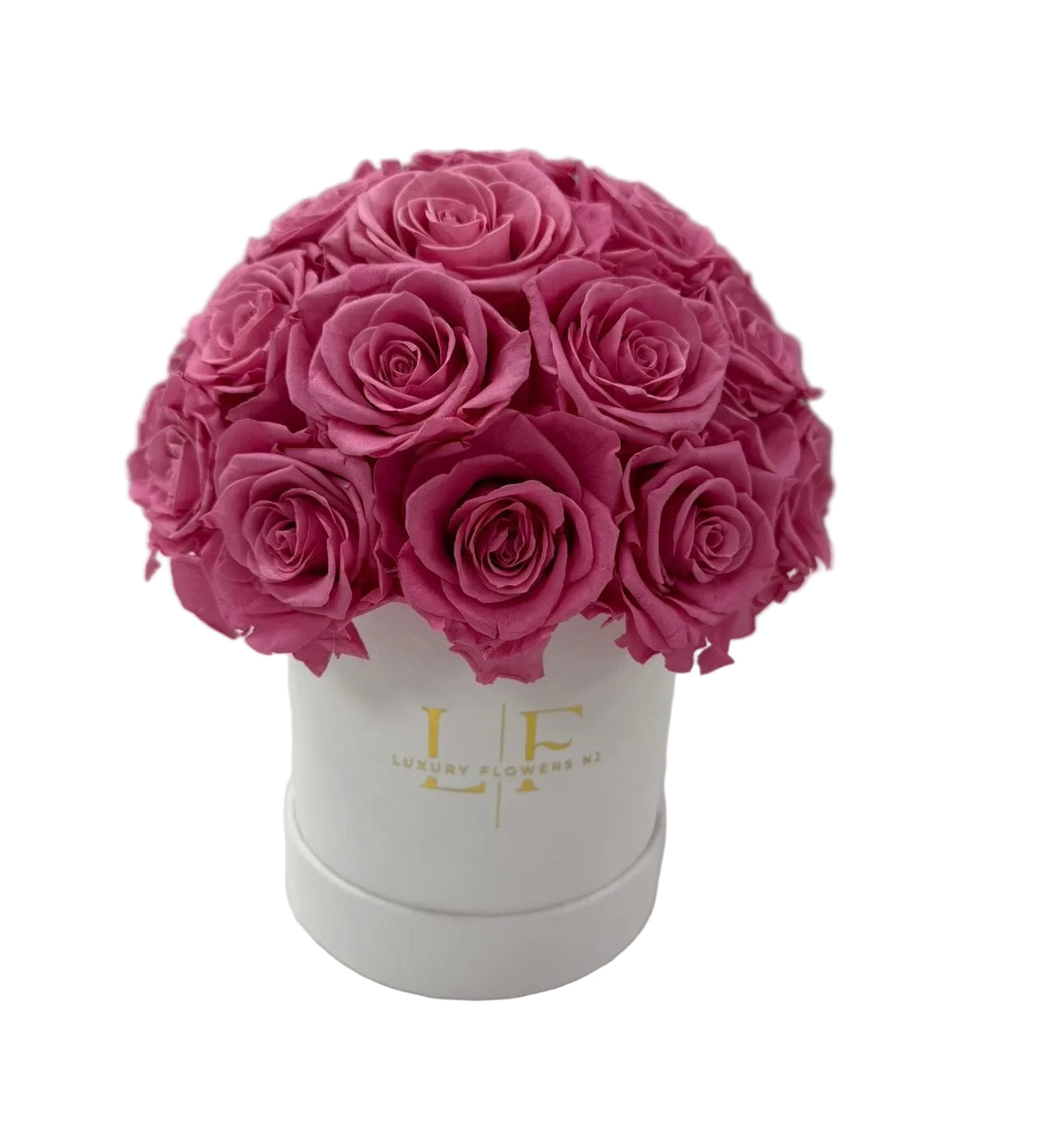 Small Pink Dome