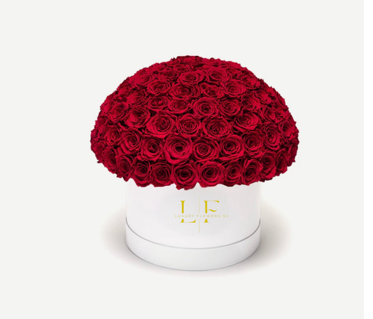 Large Arrangement / white box